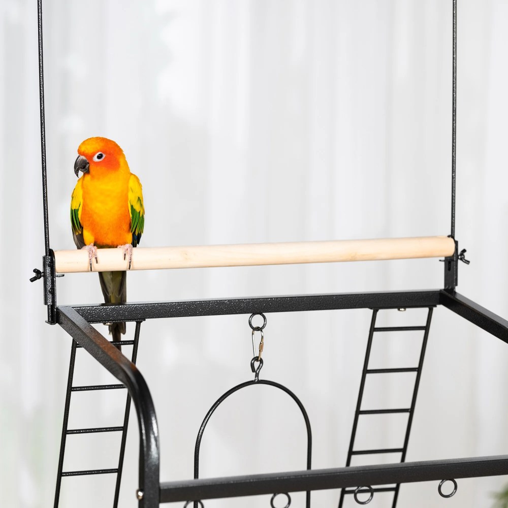 Prevue Pet Products Wrought Iron Cockatiel Parrot Playstand, Black - Image 7