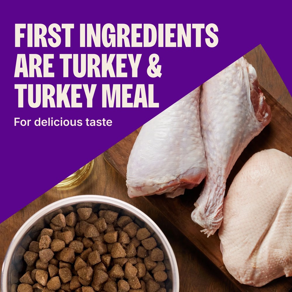 Wellness CORE Dry Dog Food, Small Breed, Grain Free, High Protein, Natural, Healthy Weight Turkey & Chicken Recipe, (12-Pound Bag) - Image 2