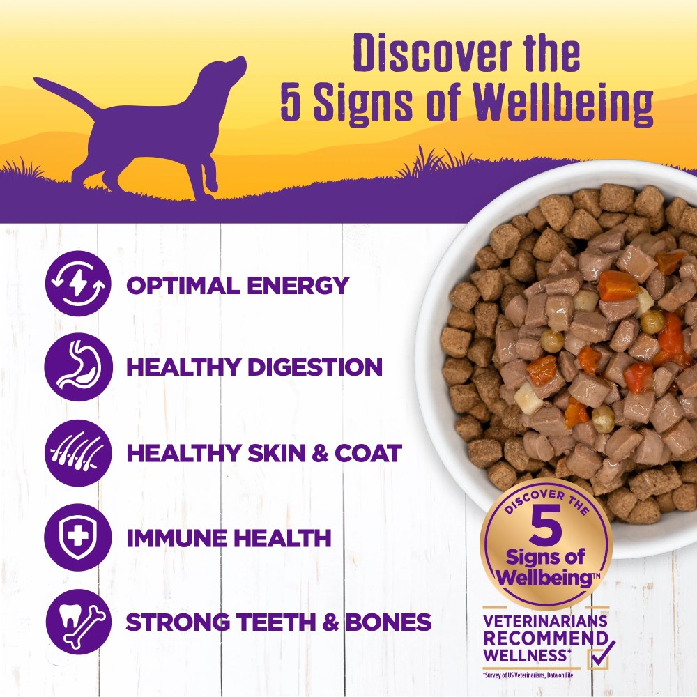 Wellness Complete Health Stew Adult Canned Wet Dog Food, Grain Free, Natural, Beef Recipe, 12.5 oz, Pack of 12 Cans - Image 3
