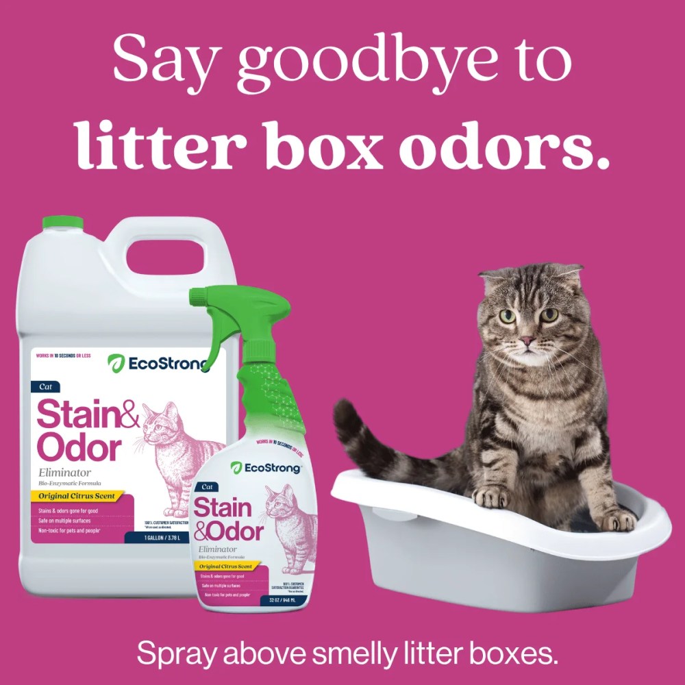 Cat Stain and Odor Remover: Enzyme Urine Odor Neutralizer - Stain Remover (32 oz and 1 Gallon) - Image 2