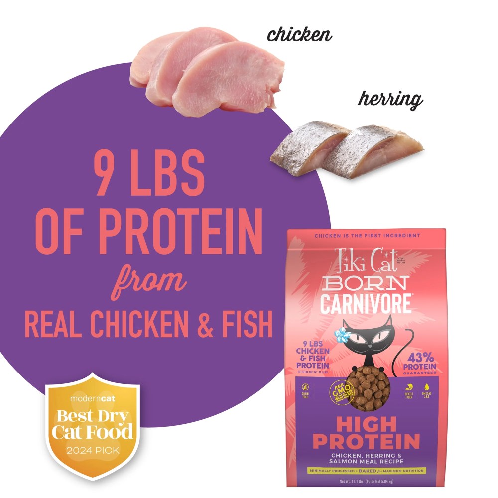 Tiki Cat Born Carnivore High Protein Dry Cat Food, Chicken, Herring & Salmon Meal, 11.1 lbs. Bag - Image 3