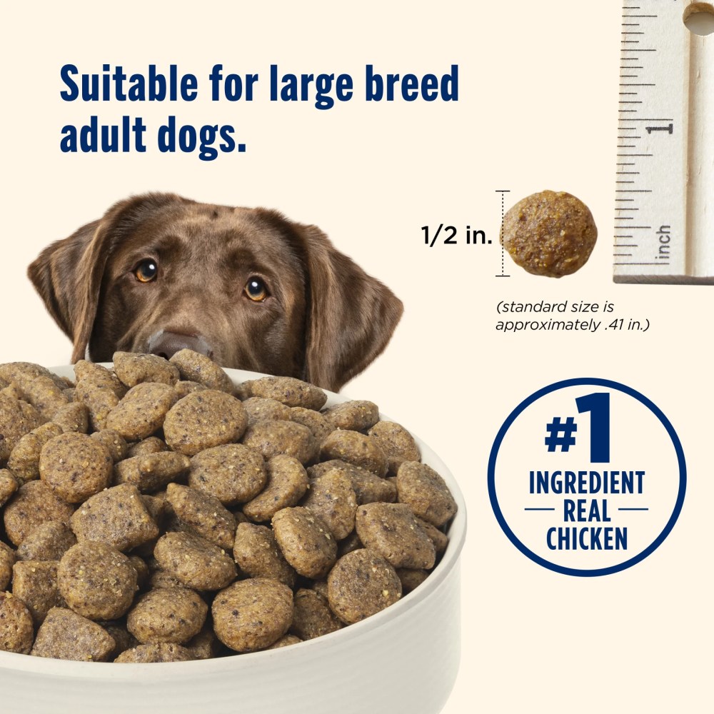 Nutrish Large Breed Real Chicken, Pea, Brown Rice & Carrot Recipe Whole Health Blend Dry Dog Food, 40 lb. Bag (Rachael Ray) - Image 9