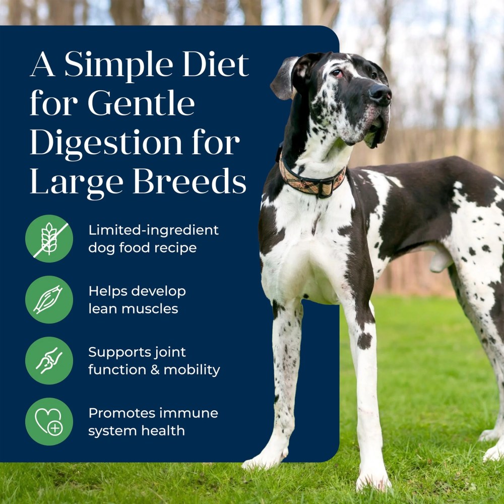 Blue Buffalo Basics Large Breed Dry Dog Food, Lamb & Potato Chicken Free, 22lb Bag - Image 10