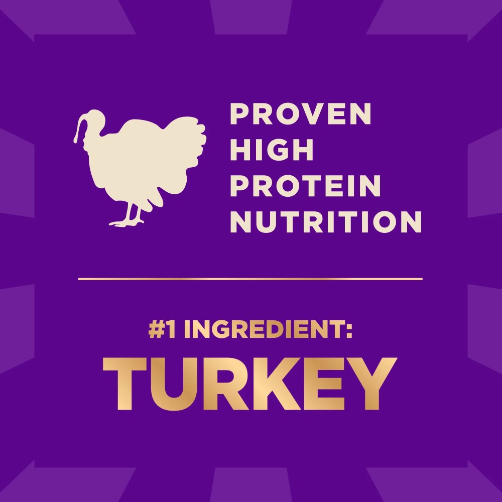 Wellness CORE Dry Dog Food with Freeze Dried Pieces, Wholesome Grains, High Protein, Natural, Original Turkey & Chicken Recipe, (20-Pound Bag) - Image 2