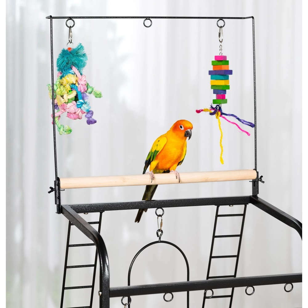 Prevue Pet Products Wrought Iron Cockatiel Parrot Playstand, Black - Image 6