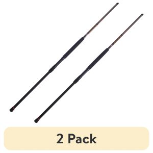 (2 pack) PENN Squadron III Surf Spinning Rod,  10" Medium Heavy Fishing Rod,  2 Piece