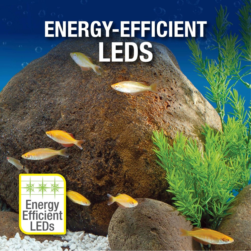 Tetra Aquarium, 20 Gallon, Complete Tropical Fish Tank Kit with LED Lighting and Decor for Freshwater Fish - Image 2