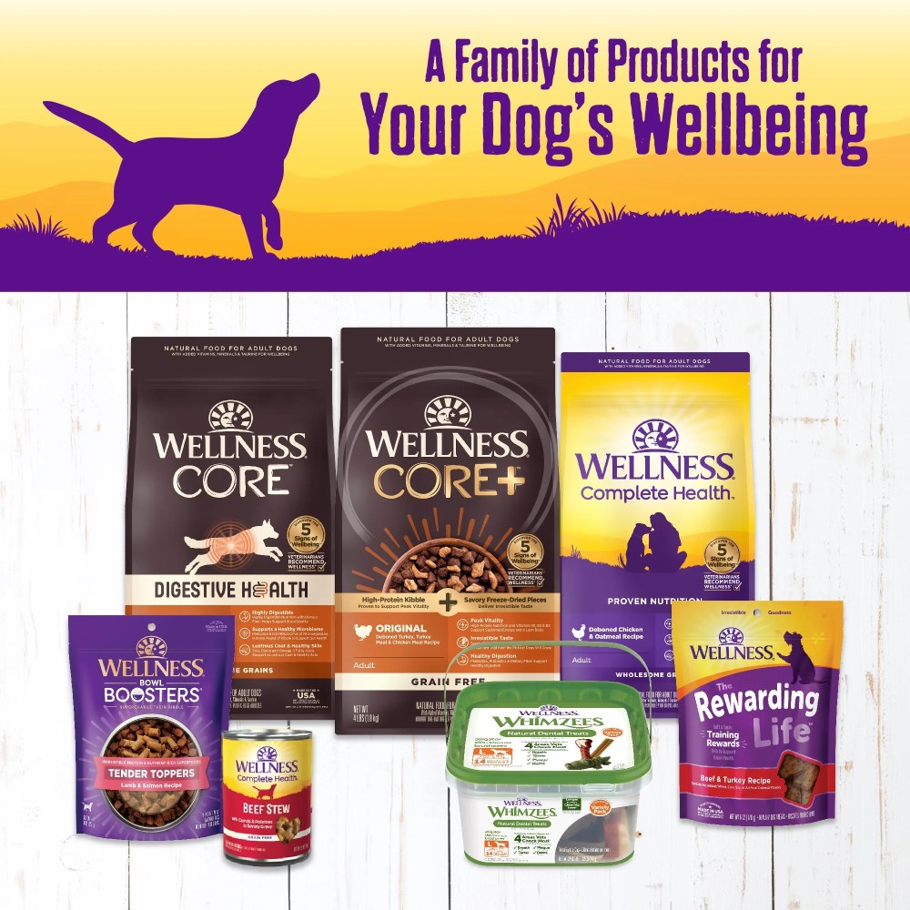 Wellness Complete Health Stew Adult Canned Wet Dog Food, Grain Free, Natural, Beef Recipe, 12.5 oz, Pack of 12 Cans - Image 6