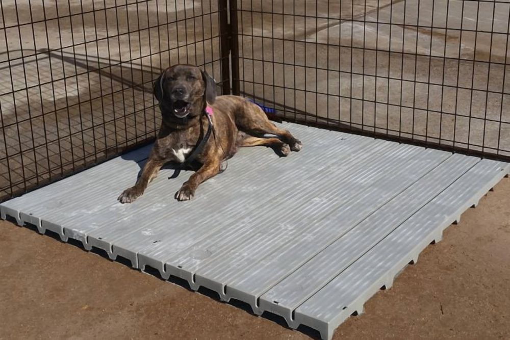 Single Large 2" X 4" Raised Dog Kennel Run Flooring Panel Gray - Image 6