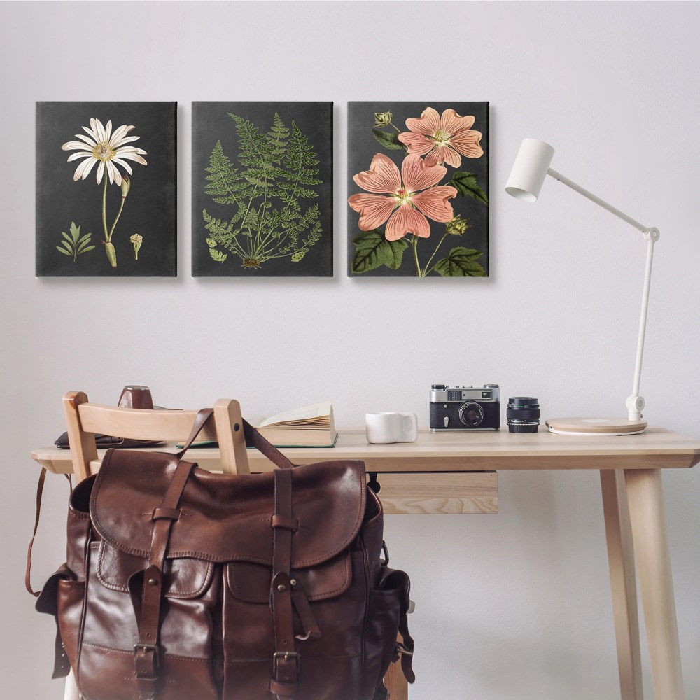 Stupell Industries Botanical Flowers Chalkboard Illustrations Canvas Wall Art by Lettered and Lined - Image 2