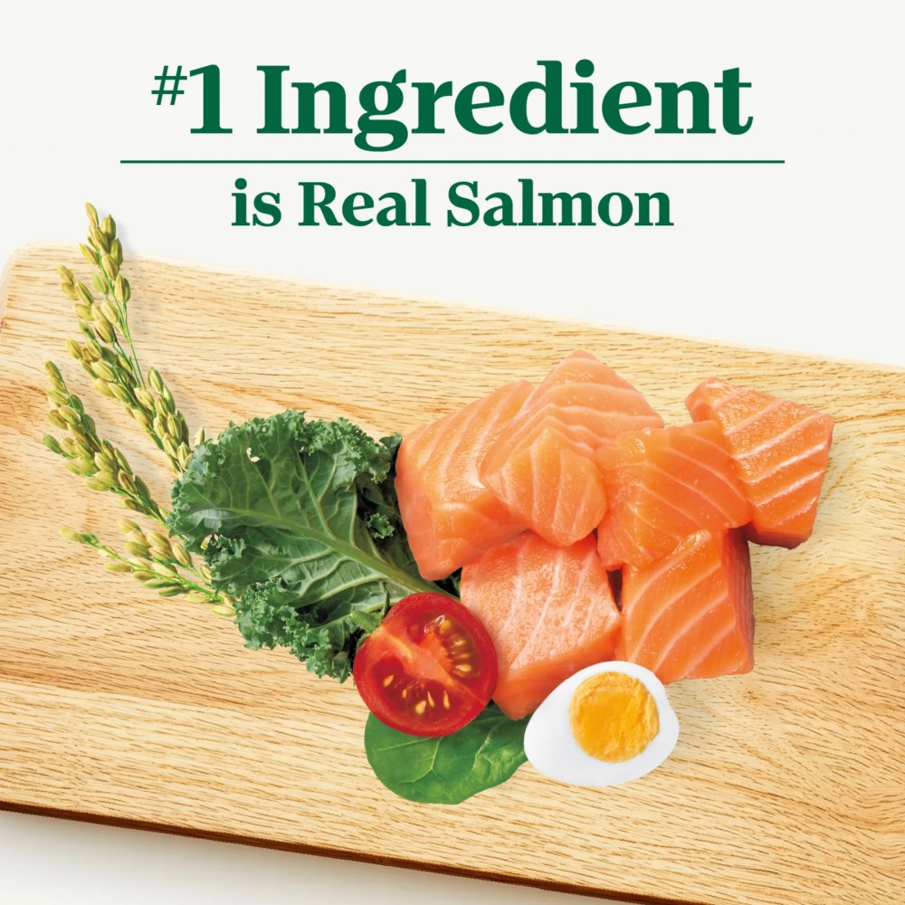 Nutro Natural Choice Adult Small Bites Dog Food Recipe Salmon & Brown Rice, 28 Lb Bag - Image 4
