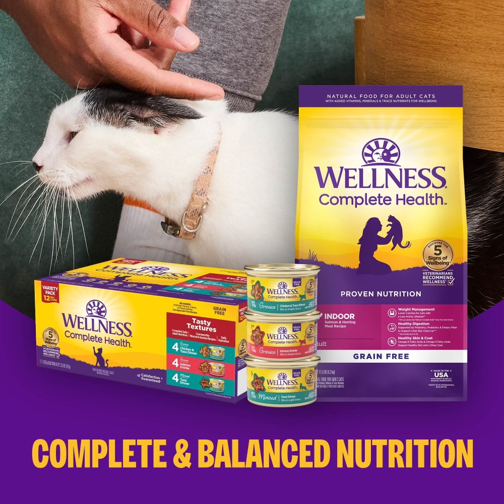 Wellness Complete Health Pate Adult Wet Cat Food, Natural, Protein-Rich, Grain Free, 12.5 Ounce, 12 Pack, (Beef & Chicken) - Image 8