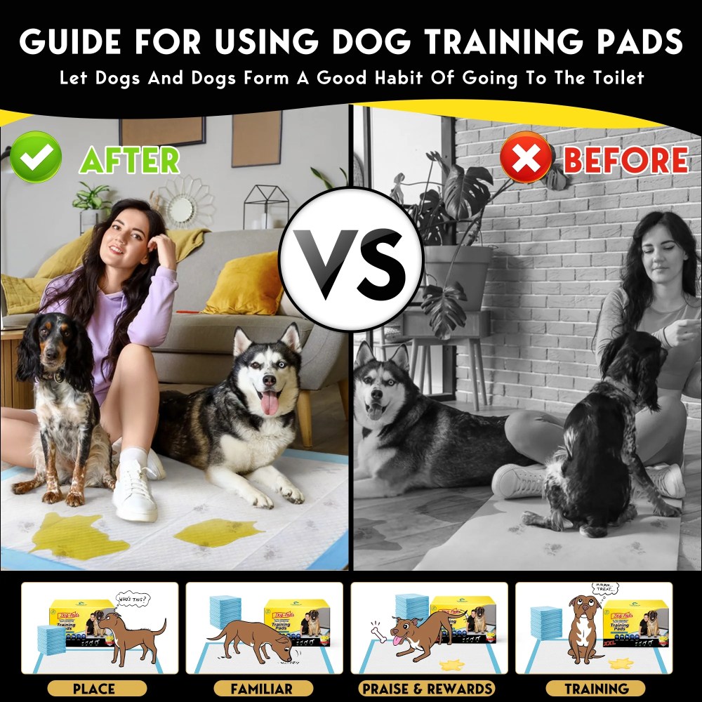 Tolobeve Dog Training Pads, XXL, 30 in x 36 in, 100 Count Disposable Dog Puppy Pee Pads - Image 9