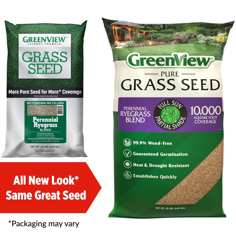 GreenView Pure Grass Seed Perennial Ryegrass Blend, 20 lb. Bag-Covers up to 10, 000 sq. ft. - Image 3