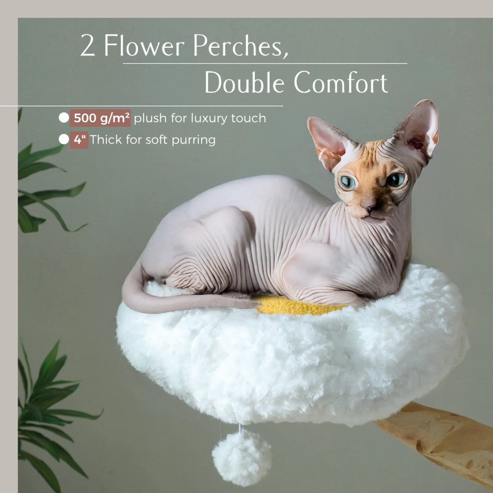 PAWZ Road 59" Modern Cat Tree Natural Branch Cat Tower Luxury Furniture with Scratching Posts for Large Cats, White - Image 2