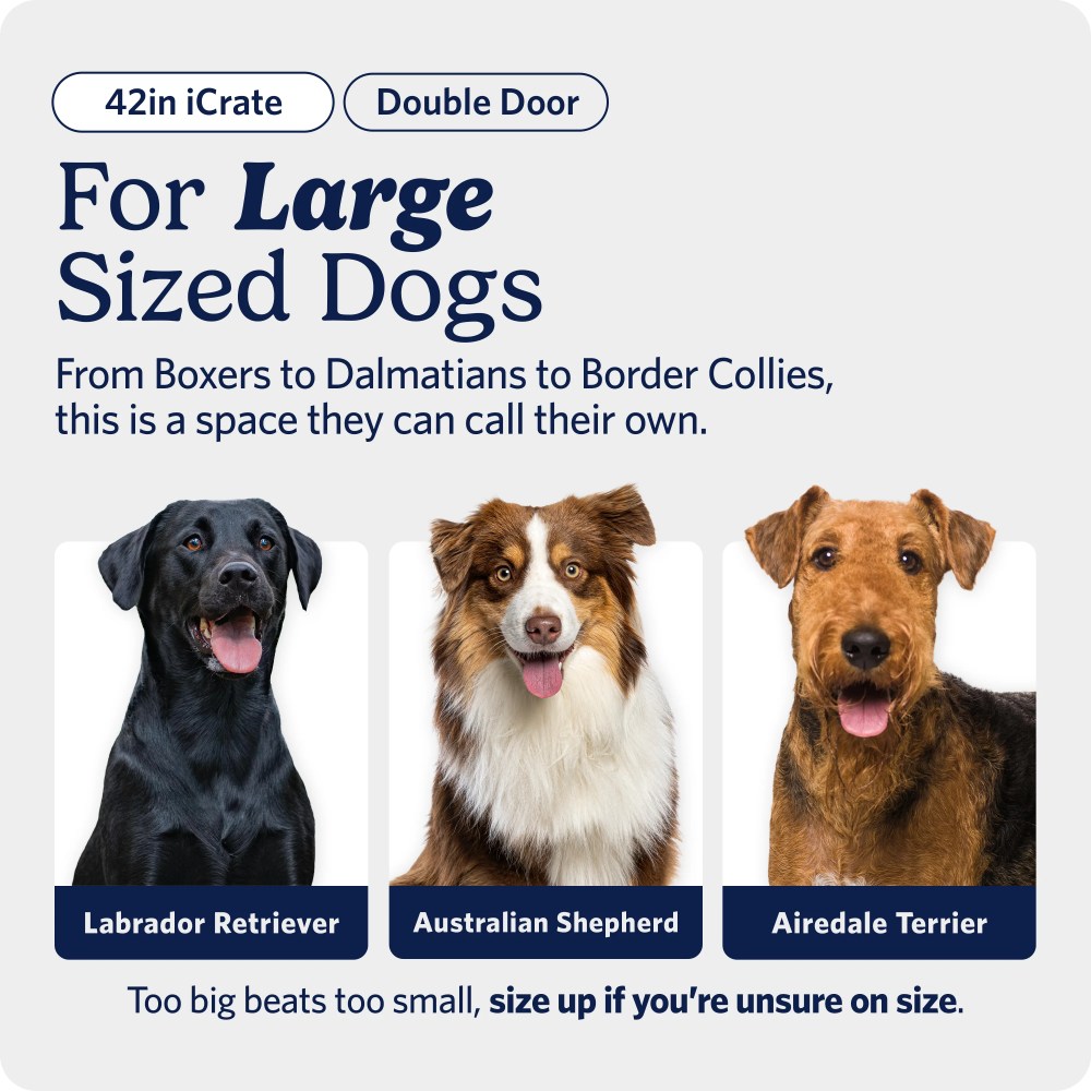 MidWest Homes for Pets 42-Inch Two-Door iCrate Folding Dog Crate with Divider Panel, Leak-Proof Tray & Secure Latches-Metal Wire Kennel for Large Breeds-Portable, Durable & Easy to Assemble - Image 5