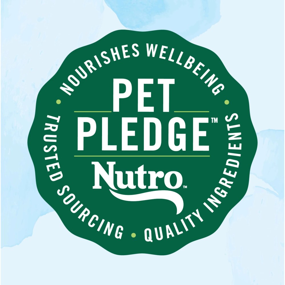 Nutro Limited Ingredient Diet Adult Dry Dog Food, Lamb & Sweet Potato Recipe, 22 lbs. - Image 11