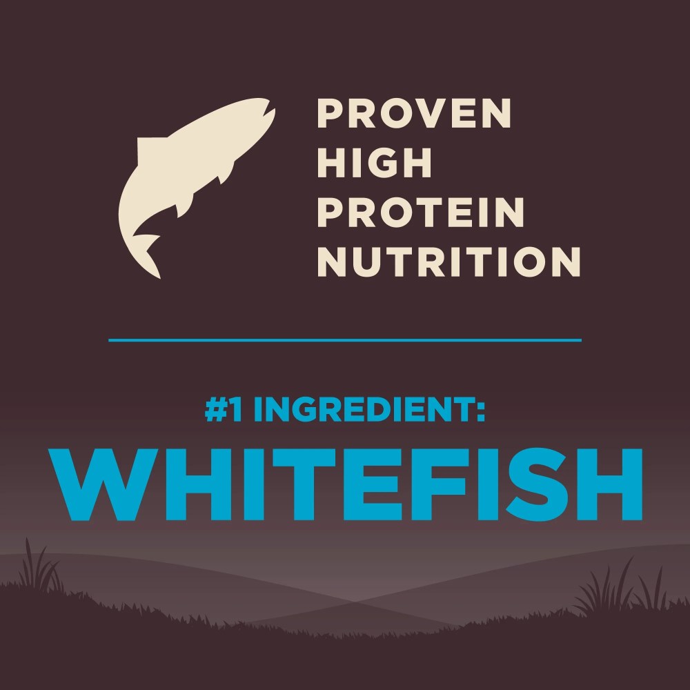 Wellness CORE Dry Dog Food, Grain Free, High Protein, Natural, Ocean Whitefish, Herring, & Salmon Recipe, (26-Pound Bag) - Image 5