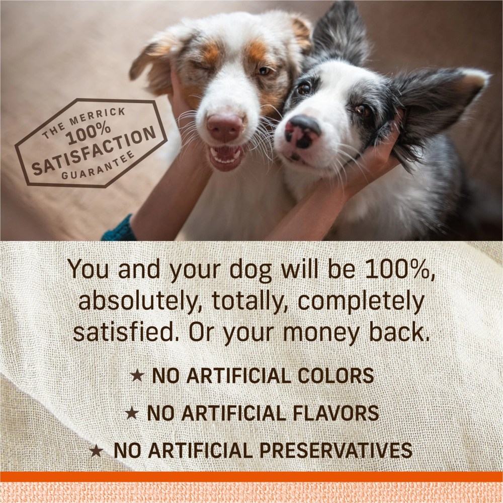 Merrick Lil' Plates Premium Grain Free Dry Dog Food For Small Dogs, Real Beef And Sweet Potato Kibble, 20.0 lb. Bag - Image 5