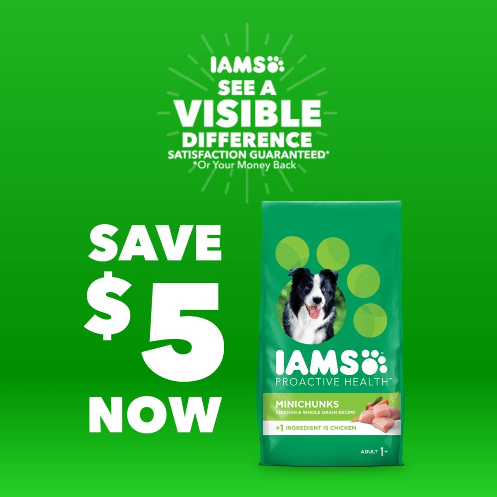 Iams Proactive Health Minichunks Dry Dog Food With Real Chicken And Whole Grains, 30 Lb. Bag - Image 5