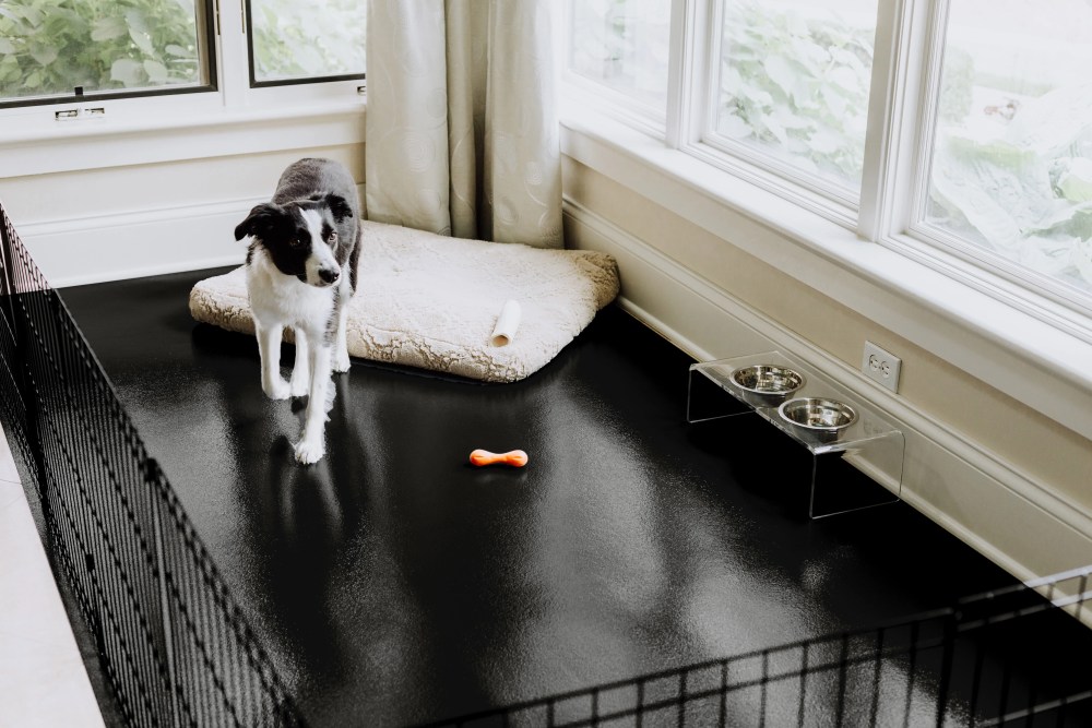 G-Floor 5" x 10" Polyvinyl Ceramic Pet Friendly Carpet Protector for Dogs and Cats - Midnight Black - Image 5