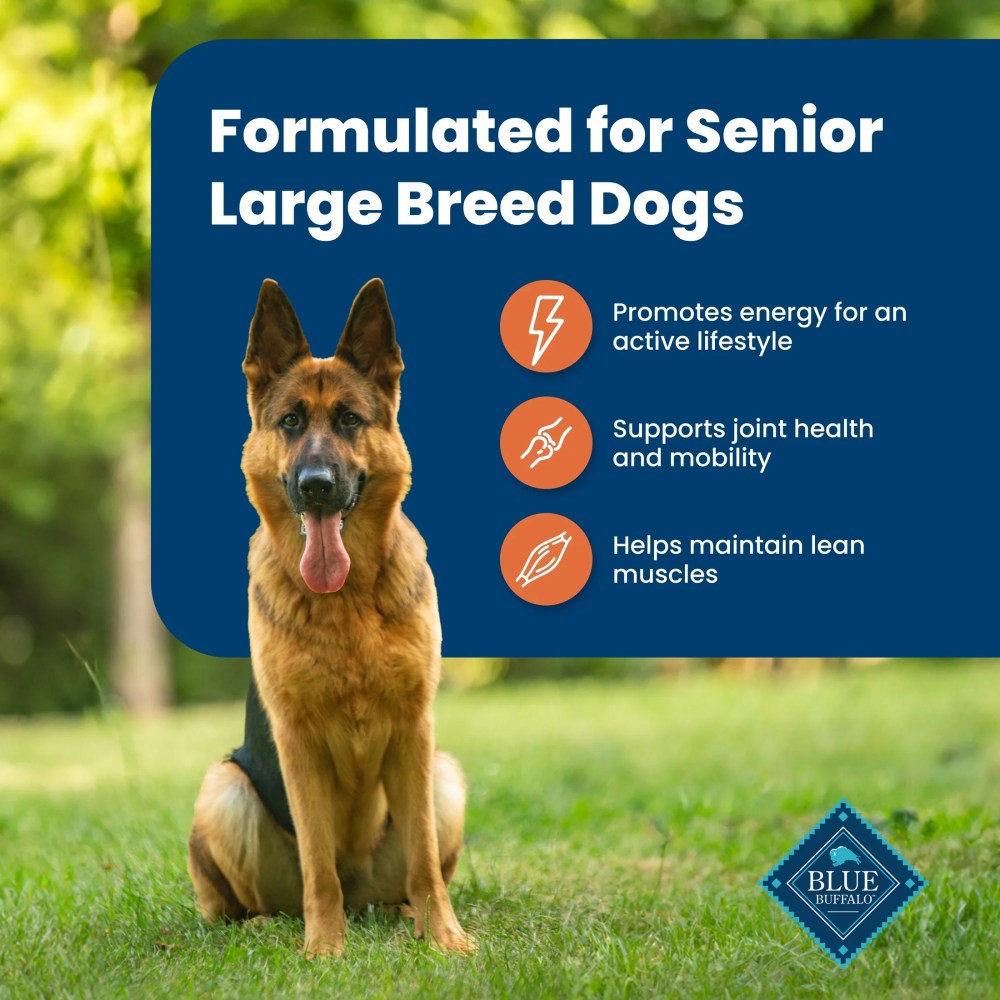 Blue Buffalo Life Protection Formula Large Breed Senior Dog Food, Chicken & Rice, 30 lbs. - Image 6