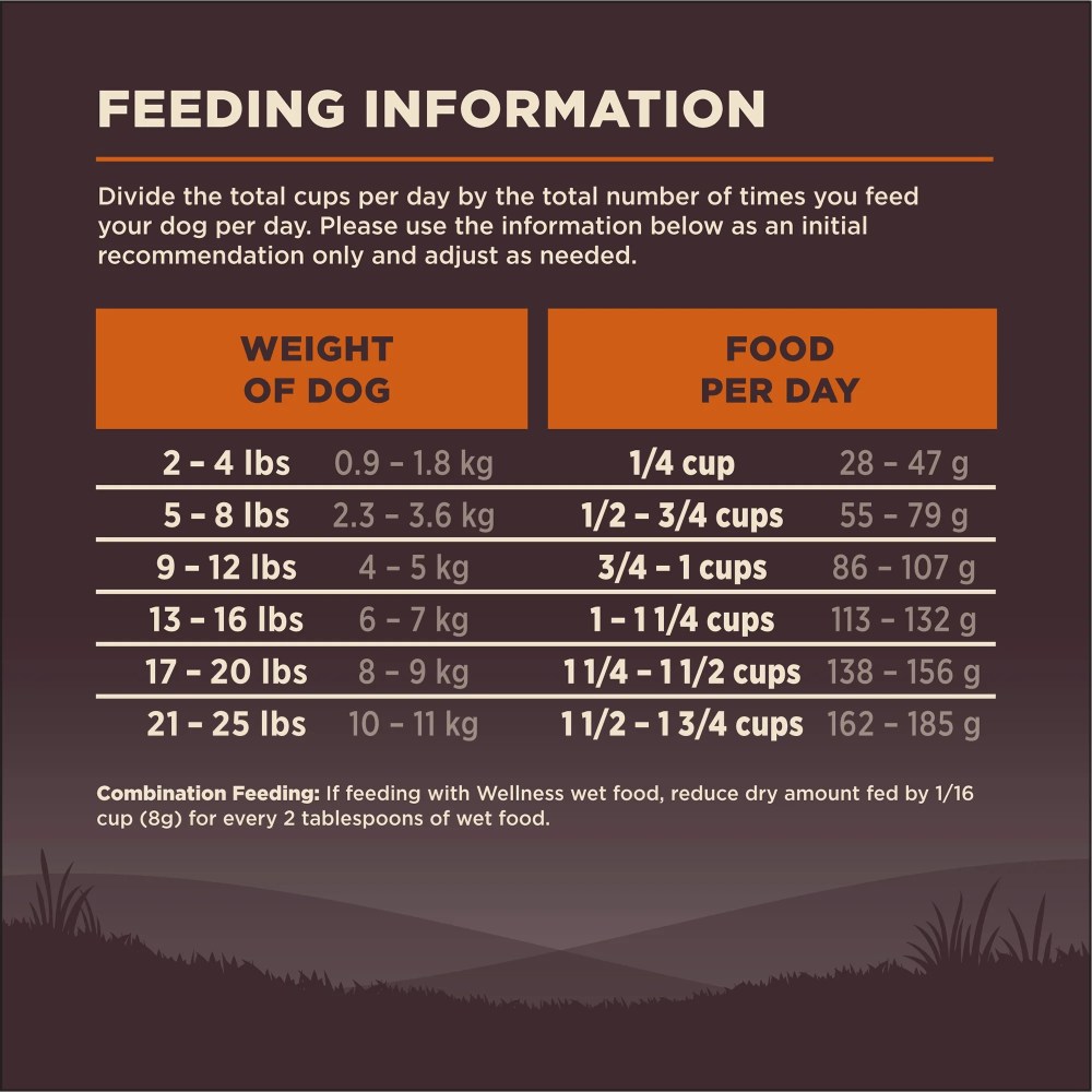 Wellness CORE Dry Dog Food, Small Breed, Grain Free, High Protein, Natural, Original Turkey & Chicken Recipe, (12-Pound Bag) - Image 6