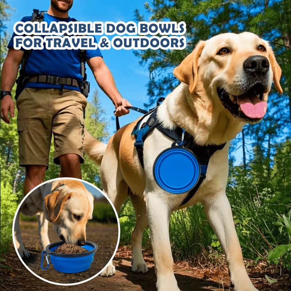30 Inch Collapsible Dog Crate for Medium Large Dogs, 3-Door Foldable Soft Kennel with Fleece Bed and a Folding Bowl, Suitable for Indoor & Outdoor Portable Pet Kennel - Image 2