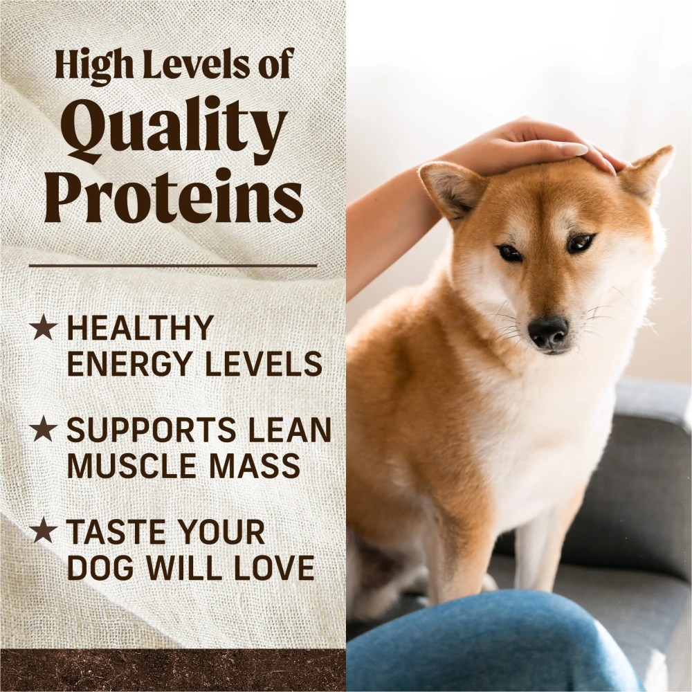 Merrick Premium Grain Free Dry Adult Dog Food, Wholesome And Natural Kibble, Real Beef And Sweet Potato, 22.0 lb. Bag - Image 6