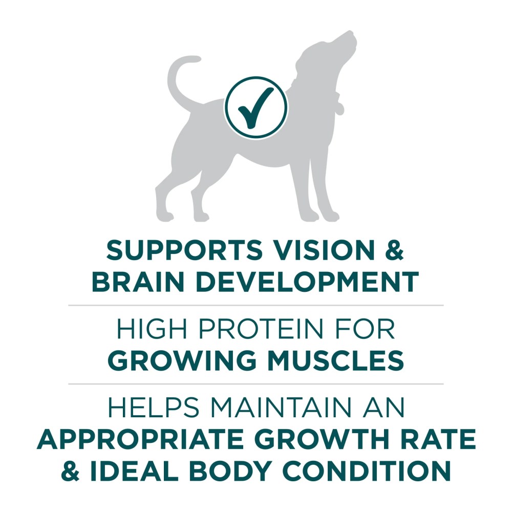 Purina One Plus Puppy Dry Dog Food for Large Dogs High Protein Growth Support, Real Chicken, 31.1 lb Bag - Image 4