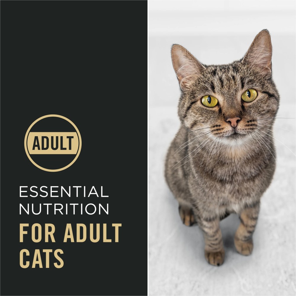 Purina Pro Plan Complete Essentials Shredded Blend Chicken and Rice Formula Adult High-Protein Dry Cat Food, 14 lb. - Image 4