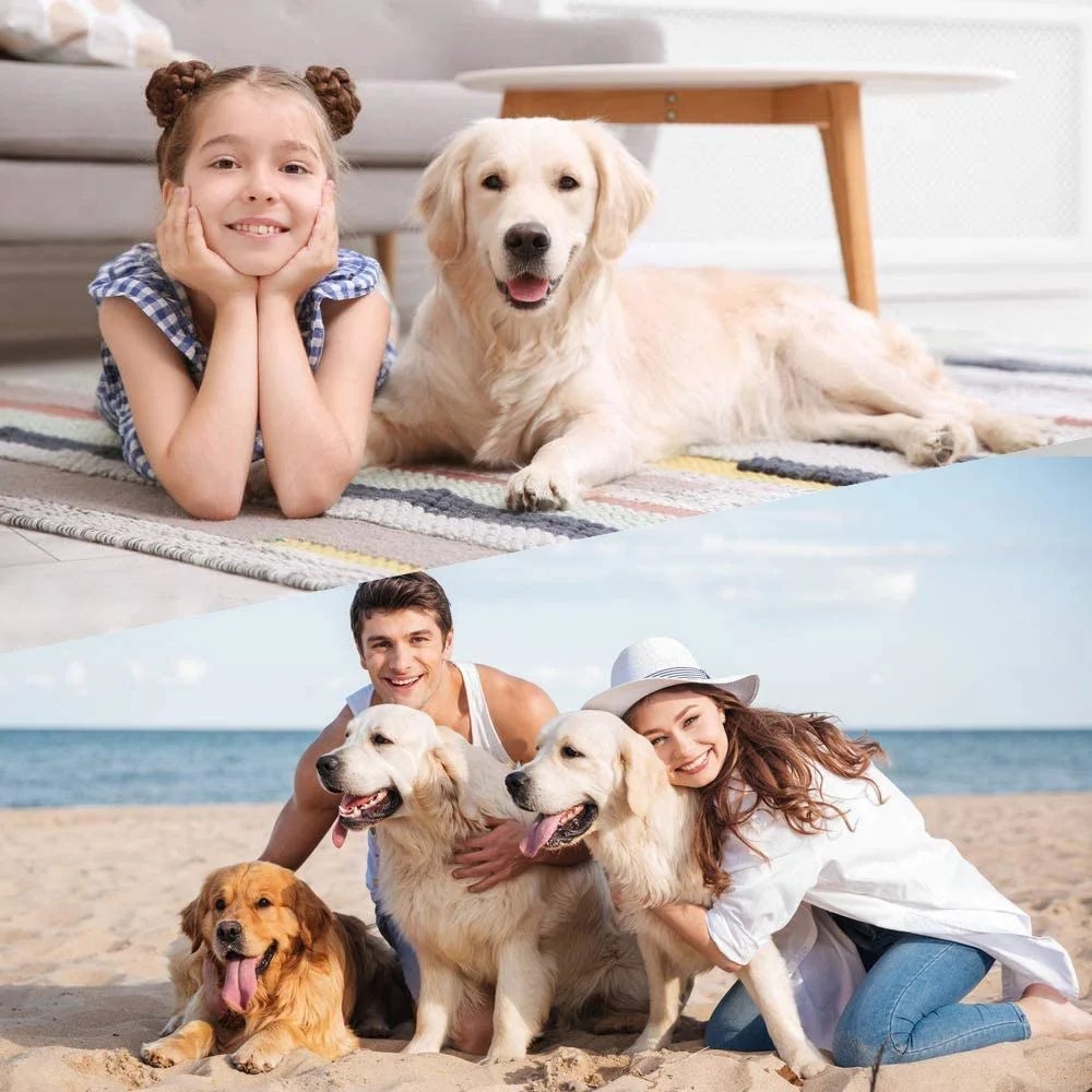Dkelincs 42 inch Heavy Duty Dog Cage Foldable Dog Crate w/2 Doors&Divider XL Dog Kennel w/Handle for Medium Puppy - Image 3