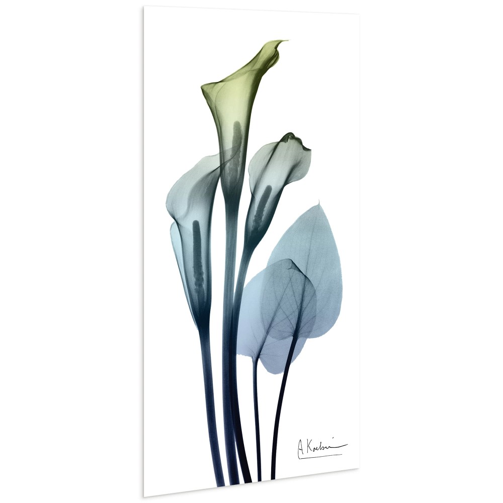 Empire Art Direct Calia Lily Frameless Free Floating Tempered Glass Panel Graphic Flower Wall Art, 24" x 48" x 0.2", Ready to Hang - Image 2