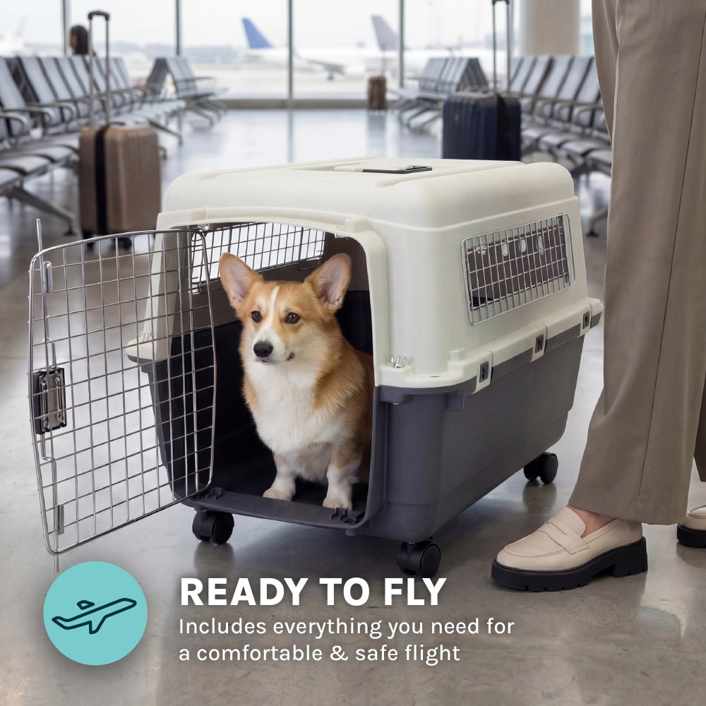 SportPet Designs Airline Approved Plastic Dog Kennel with Wheels, Medium - Image 3