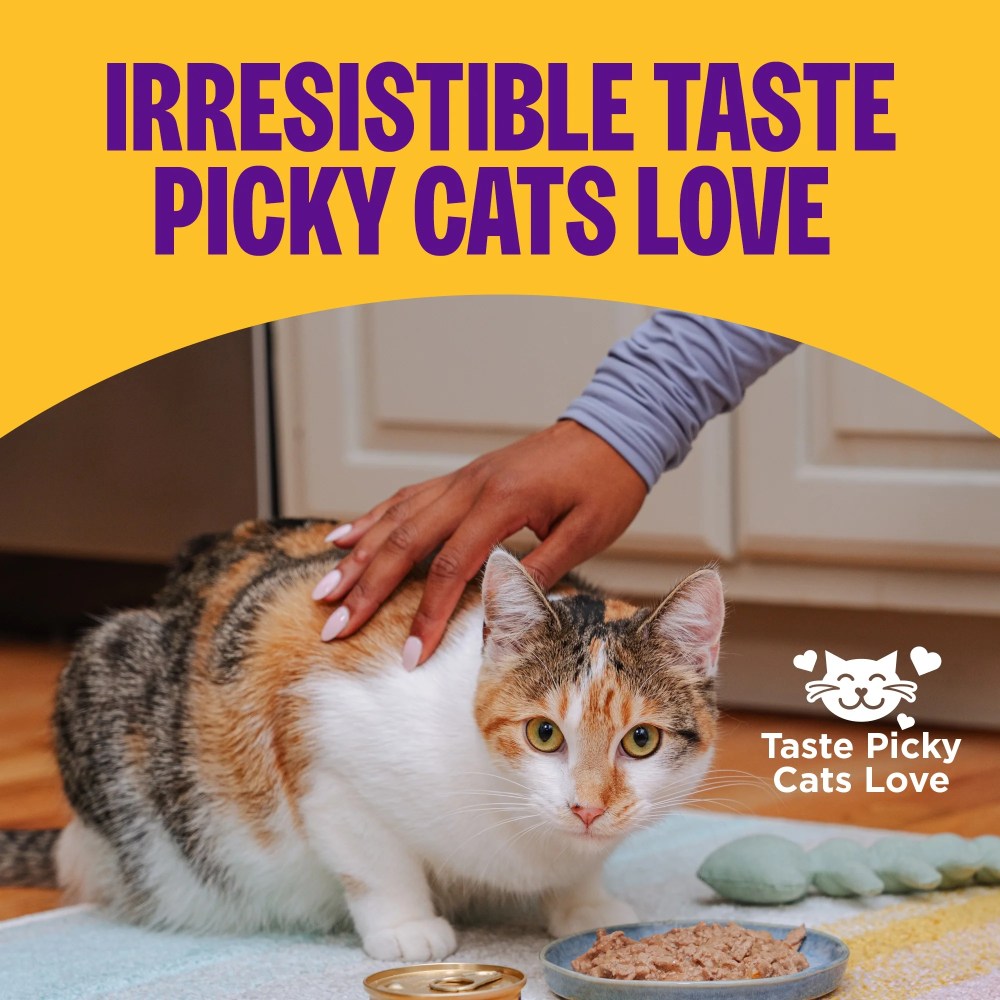 Wellness Complete Health Pate Kitten Canned Wet Cat Food, Natural, Protein Rich, Grain Free, Chicken Entre Recipe, 5.5 oz, Pack of 24 Cans - Image 7