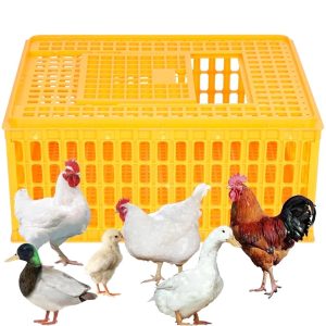 Ymokee Poultry Carrier Crate Plastic Chicken Transport Cage,  Heavy Duty Chicken Crate Box for 10-13 Adult Chicken Duck Goose Birds,  29.5 x 21.6 x 13 inch