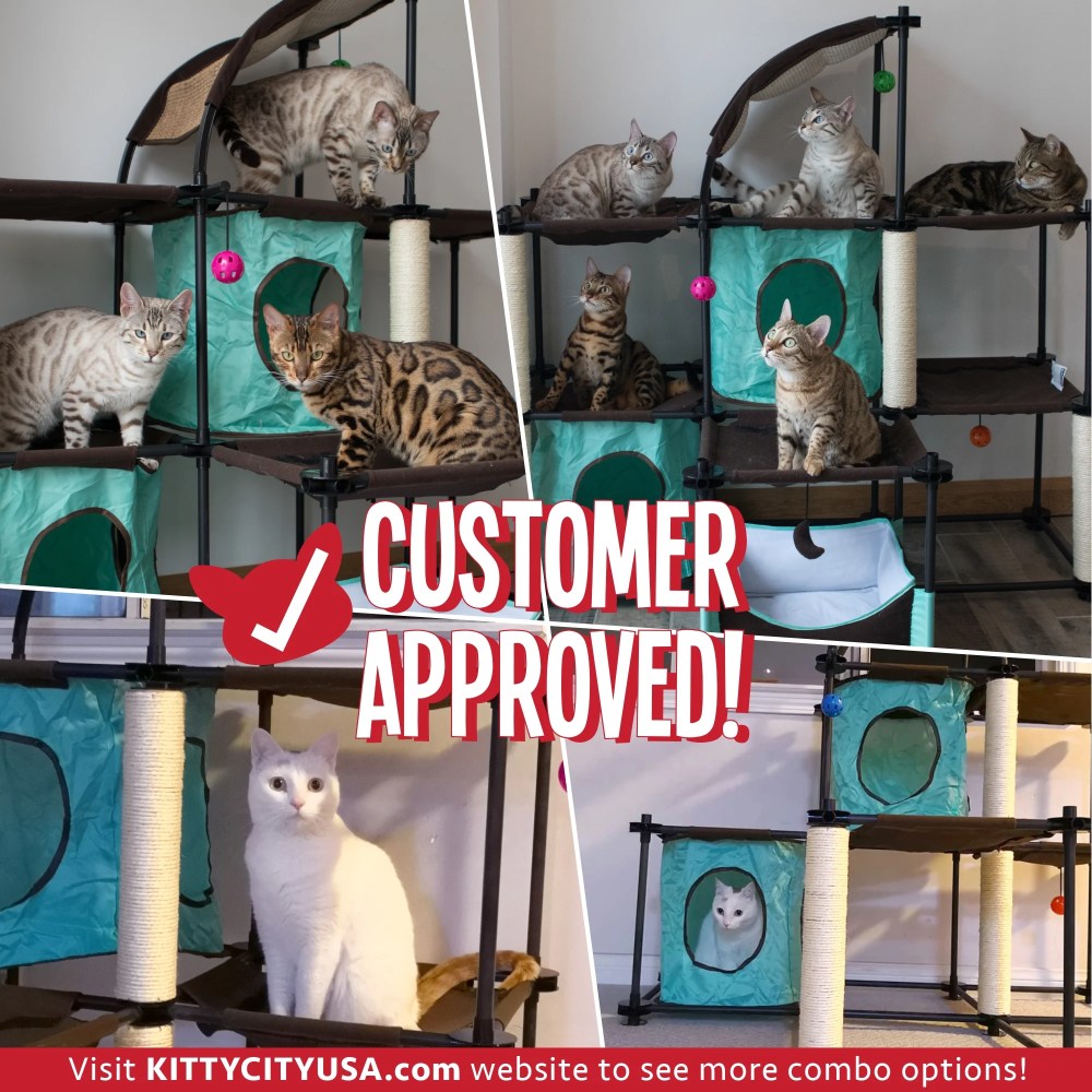 Kitty City Indoor Mega Kit Cat Furniture, Cat Scratcher - Image 4