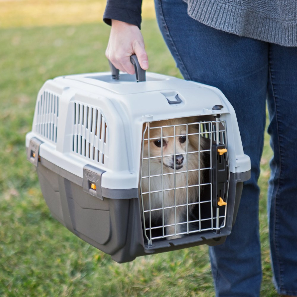 MidWest Homes for Pets Large Skudo Plastic Pet Carrier with Metal Grid Door, Gray, 25 lb Limit - Image 5