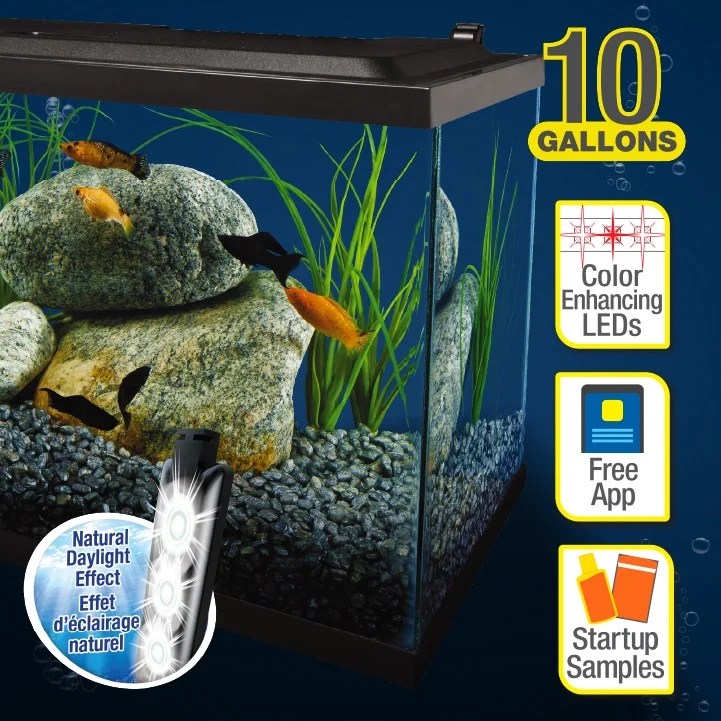 Tetra 10 Gallon Glass LED Aquarium Kit - Image 3