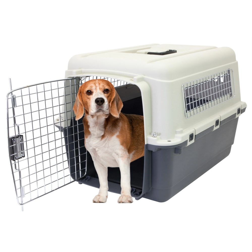 SportPet Designs Airline Approved Plastic Dog Kennel with Wheels, Medium - Image 4
