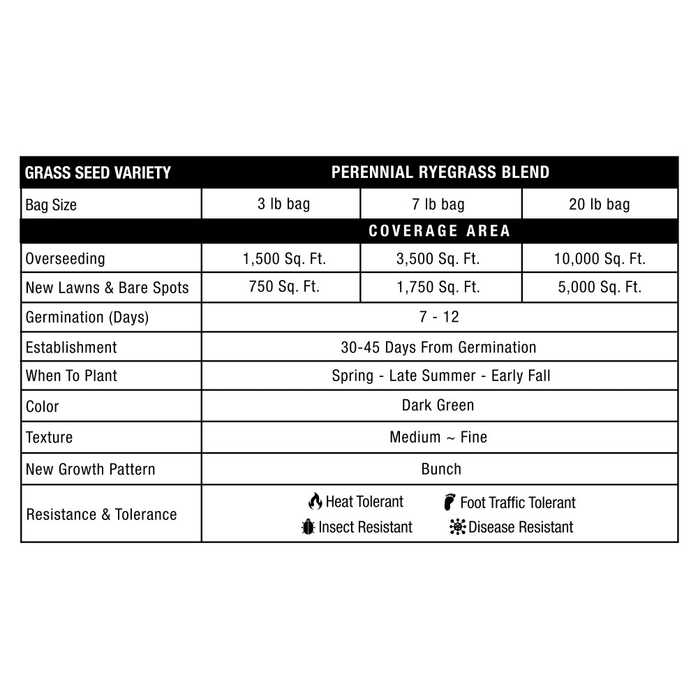 GreenView Pure Grass Seed Perennial Ryegrass Blend, 20 lb. Bag-Covers up to 10, 000 sq. ft. - Image 4