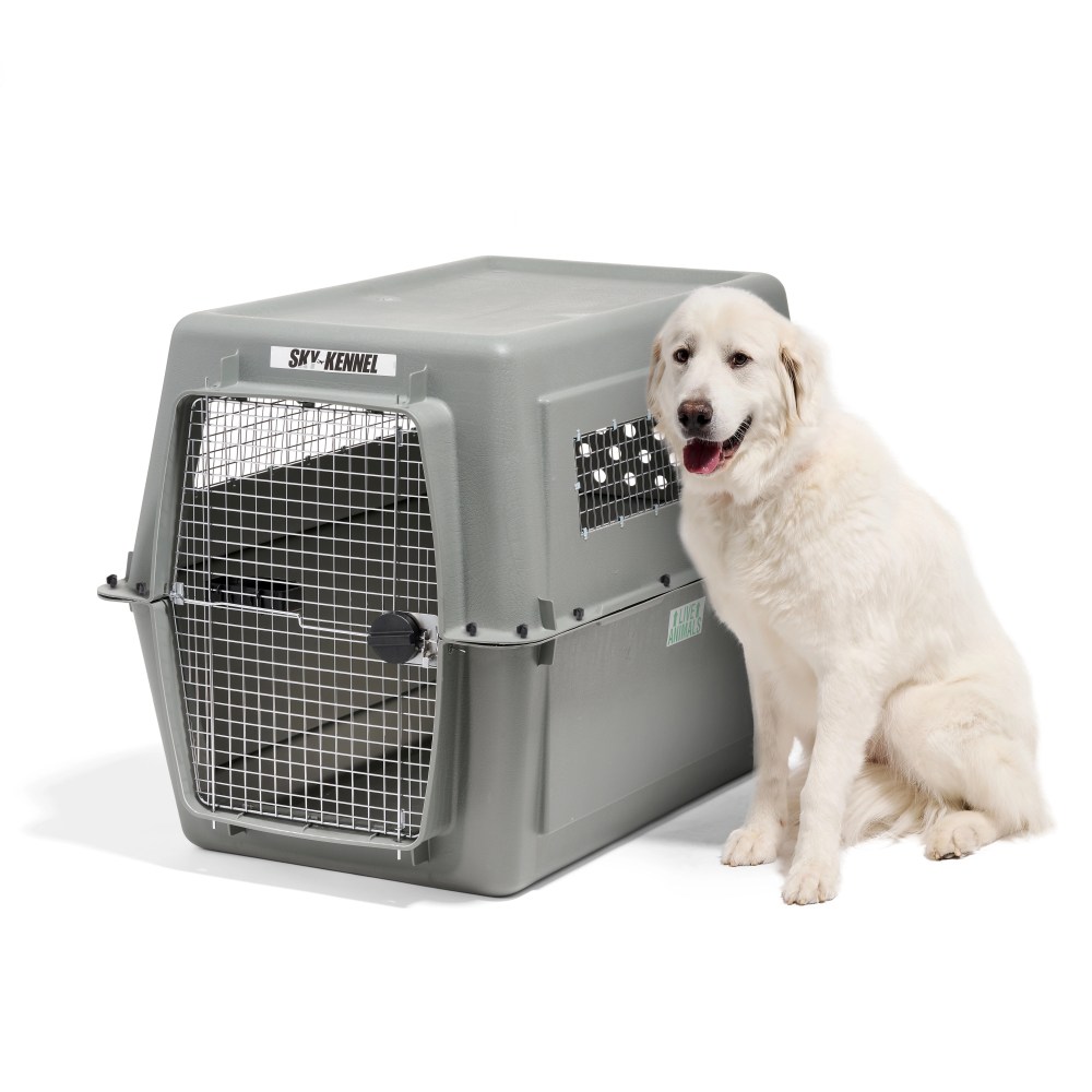Petmate Sky Kennel for Dogs, IATA Approved, Plastic Travel Carrier, Gray, For Dogs 90-125 lbs, Jumbo Extra Extra Large, 48" x 32" x 48" - Image 2