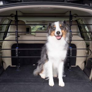 PetSafe Happy Ride Metal Dog Barrier,  Adjustable,  Simple Setup,  Sturdy and Secure,  Black