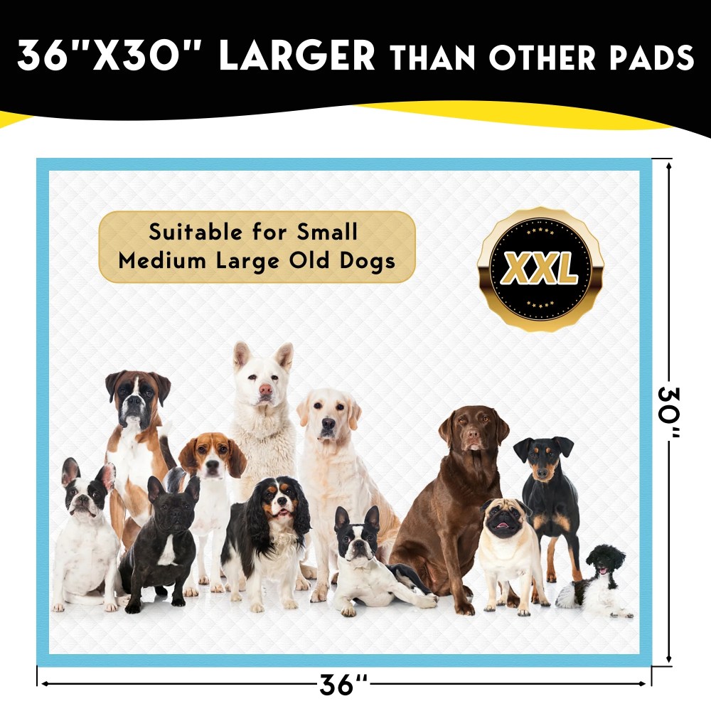 Tolobeve Dog Training Pads, XXL, 30 in x 36 in, 100 Count Disposable Dog Puppy Pee Pads - Image 10