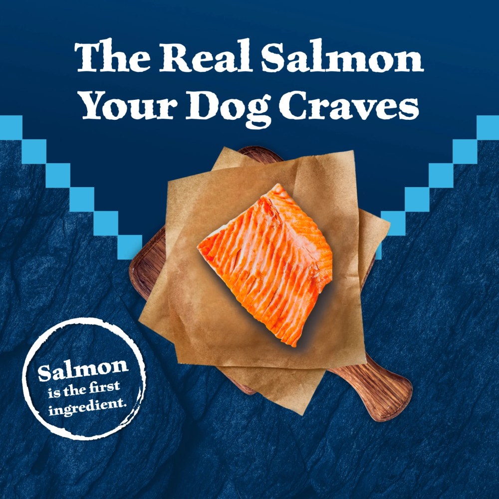 Blue Buffalo Wilderness High-Protein Natural Dry Food for Senior Dogs, Salmon Recipe, 13-lb. Bag - Image 9