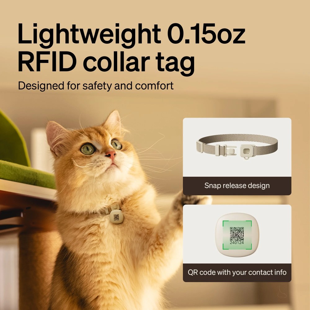 PETLIBRO Smart Auto Cat Feeder, RFID Sensor, 5G Wi-Fi, 3L Dry Food Dispenser, App Control, Light Collar Tag - Image 2