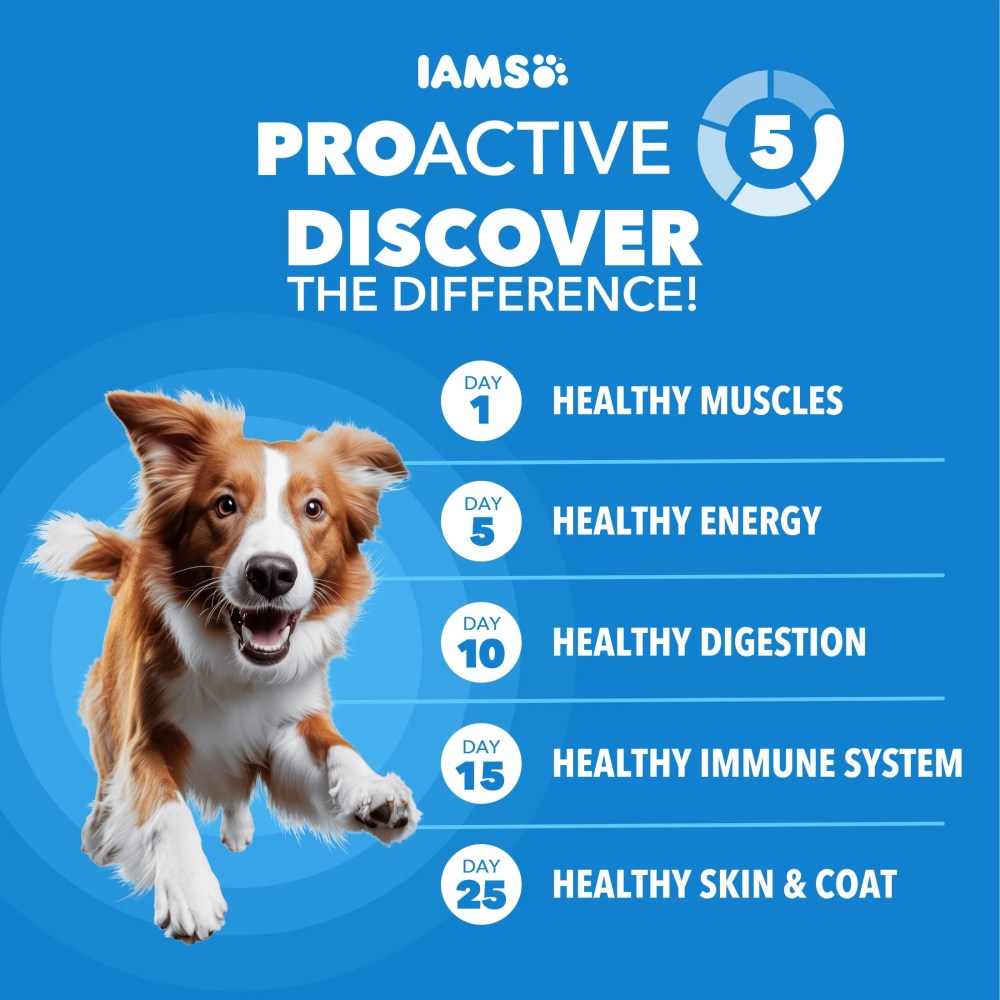 IAMS Proactive Health Dry Dog Food for Large Dogs Healthy Weight 29.1 lb Bag - Image 4