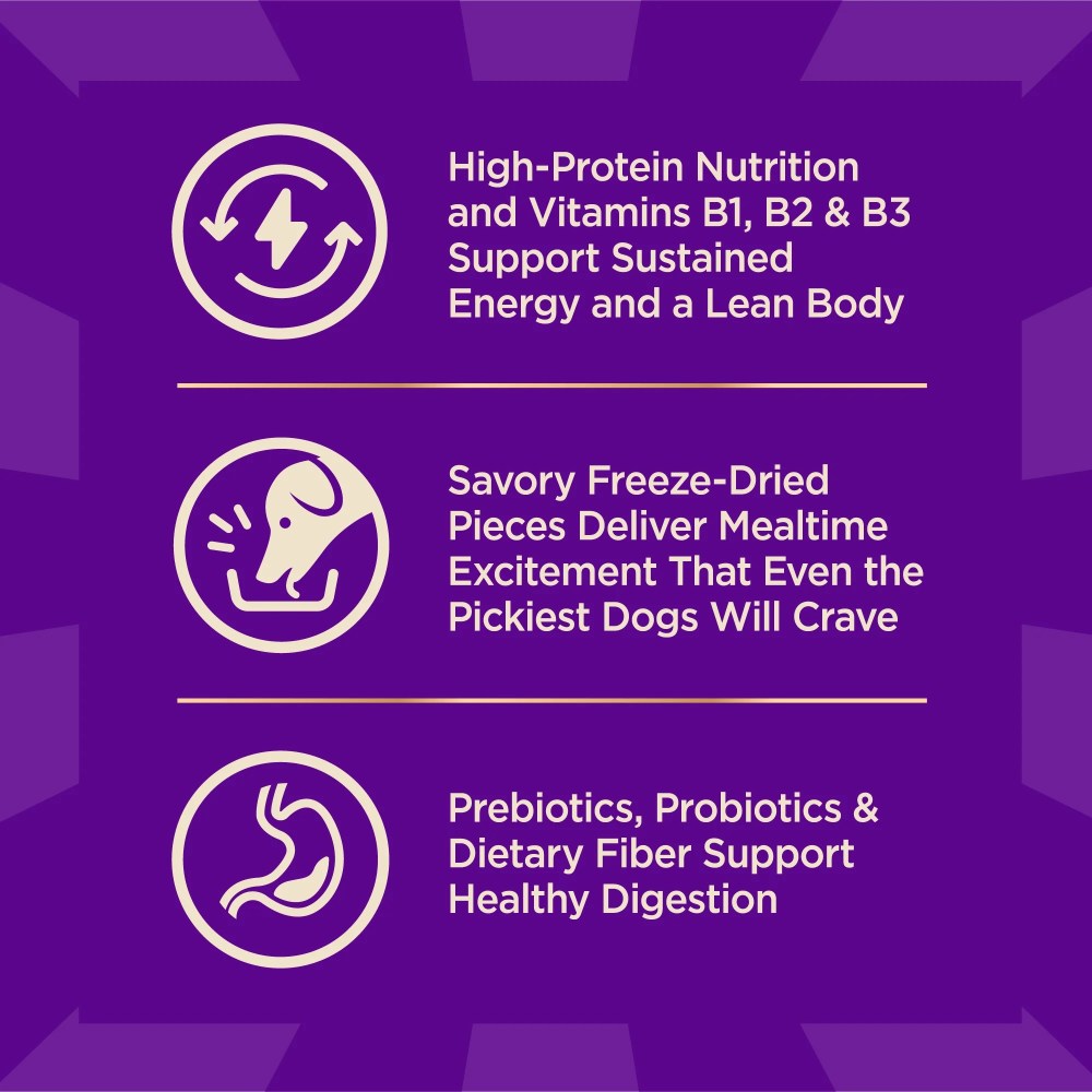 Wellness CORE Dry Dog Food with Freeze Dried Pieces, Small Breed, Wholesome Grains, High Protein, Natural, Original Turkey & Chicken Recipe, (10-Pound Bag) - Image 4