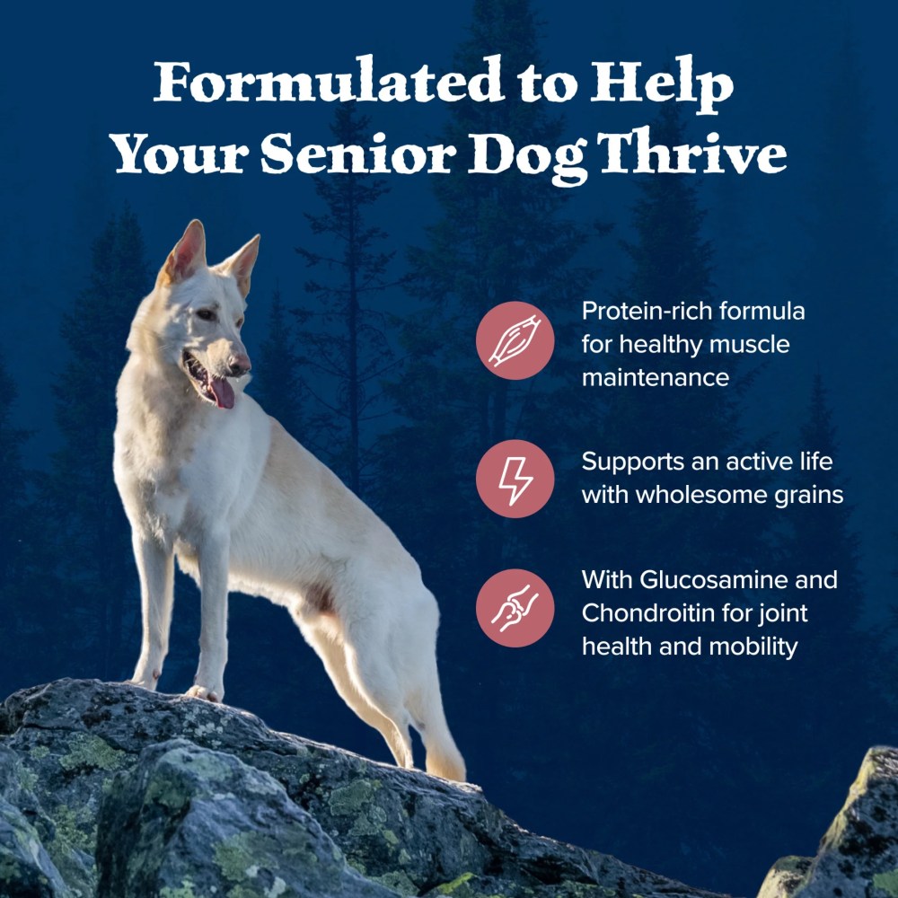 Blue Buffalo Wilderness High-Protein Natural Dry Food for Senior Dogs, Salmon Recipe, 13-lb. Bag - Image 6