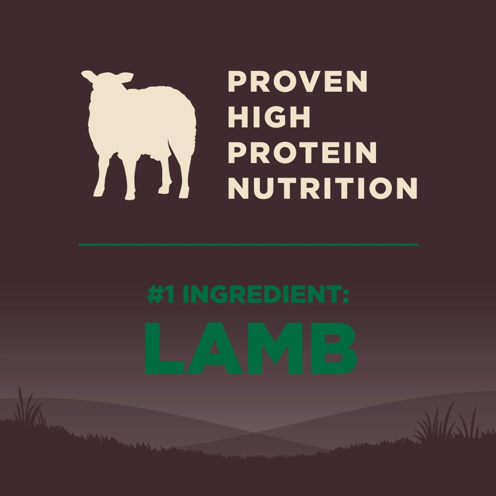Wellness CORE Dry Dog Food, Grain Free, High Protein, Natural, Lamb Recipe, (22-Pound Bag) - Image 2